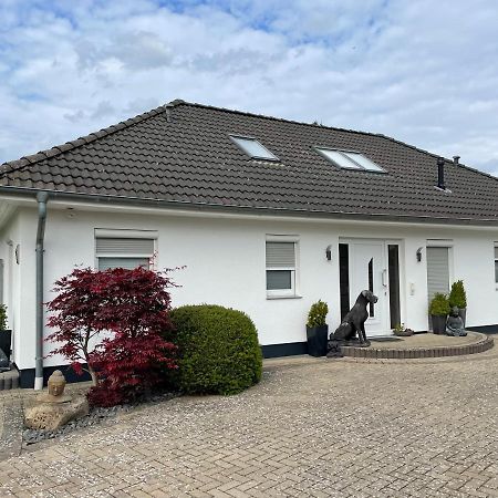 Apartamento Waldblick Walsrode / Bomlitz Exterior foto